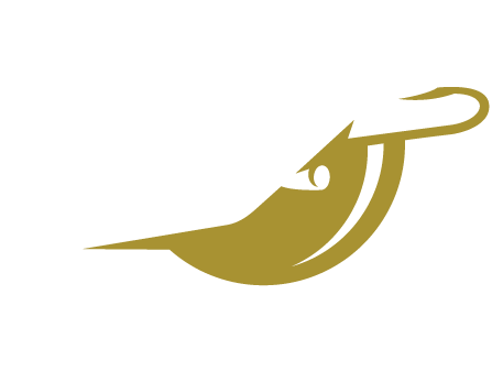 IrishAero - Irish Aviation Research Institute